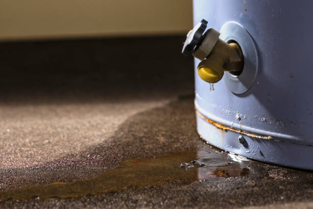 Best Water damage mitigation services  in Ortonville, MN
