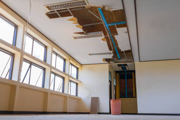 Best Sewage cleanup and water damage restoration  in Ortonville, MN