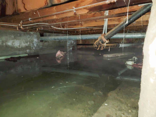 Best Commercial water damage restoration  in Ortonville, MN