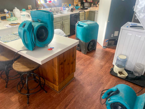 Best Emergency water damage restoration  in Ortonville, MN