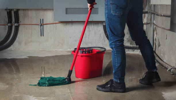  Ortonville, MN Water damage restoration Pros