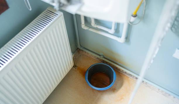 Best Water damage repair service  in Ortonville, MN