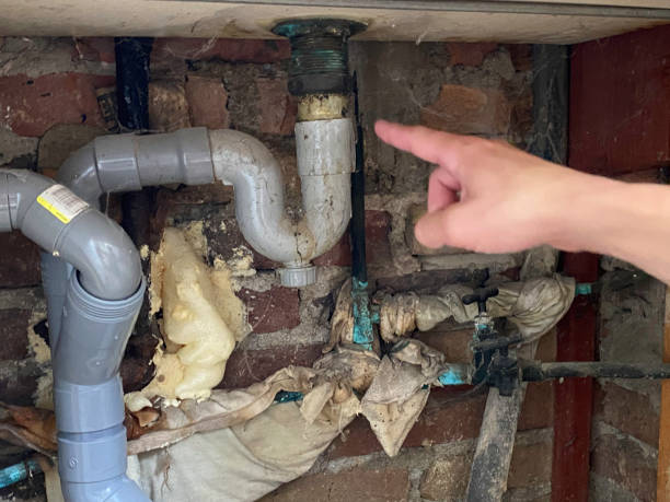 Best 24/7 water damage repair  in Ortonville, MN