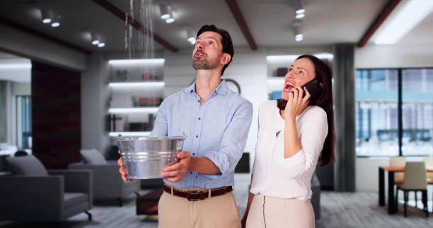 Best Basement water damage restoration  in Ortonville, MN
