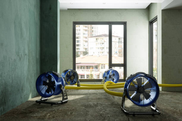 Best 24-hour water damage restoration  in Ortonville, MN