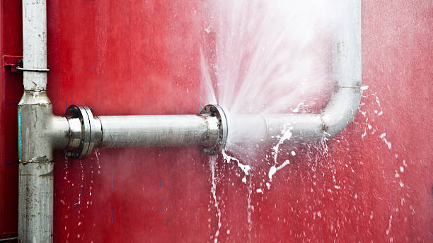 Best Water damage restoration near me  in Ortonville, MN