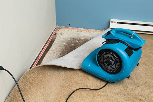 Best Flood restoration services  in Ortonville, MN
