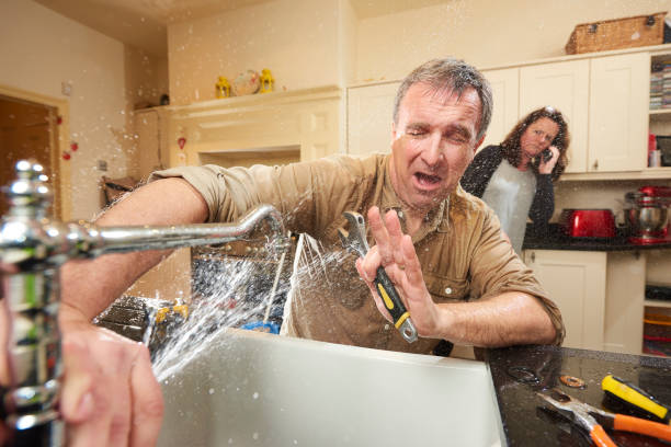 Best Flooded house restoration  in Ortonville, MN